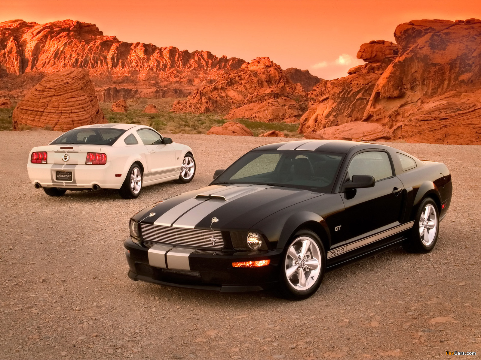 Pictures of Shelby GT 2007 (1600 x 1200)