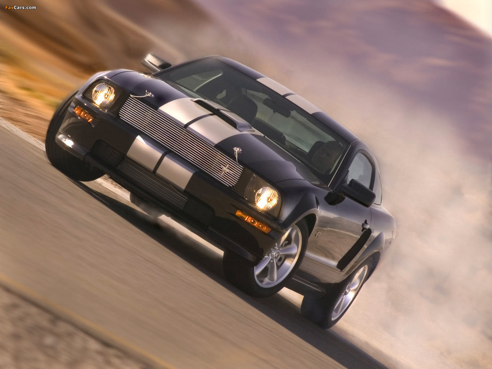 Shelby GT 2007 photos (1600 x 1200)