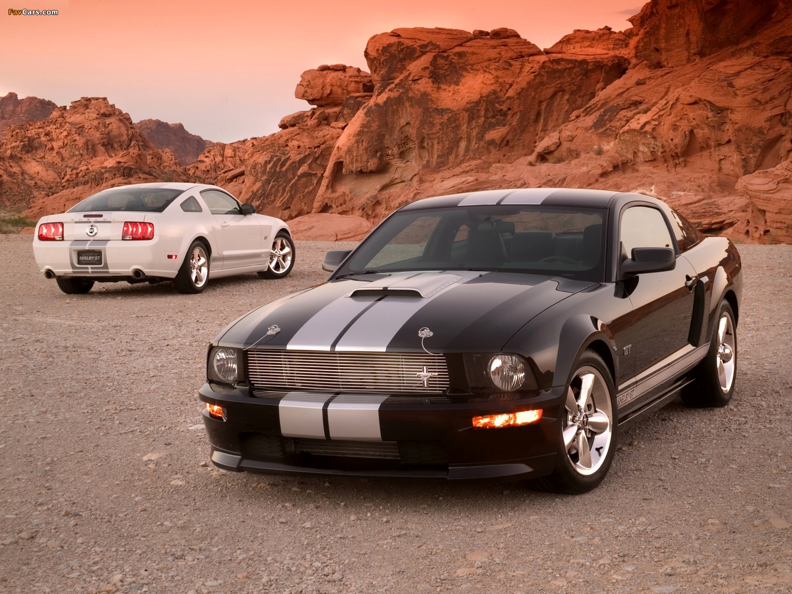 Shelby GT 2007 wallpapers (1600 x 1200)