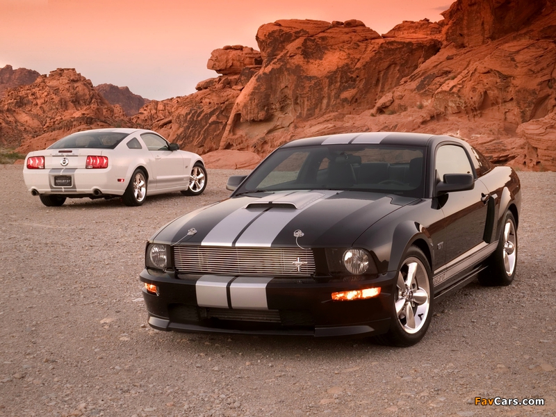 Shelby GT 2007 wallpapers (800 x 600)