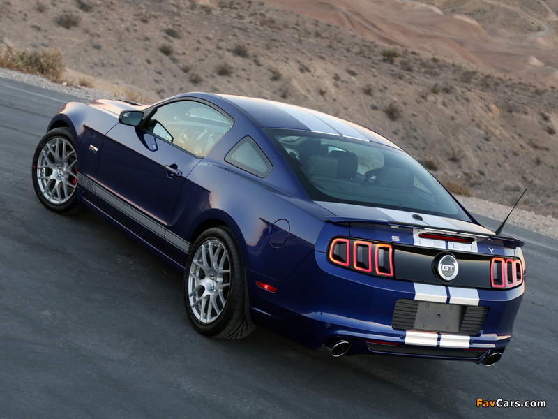 Shelby GT/SC 2014 pictures (800 x 600)