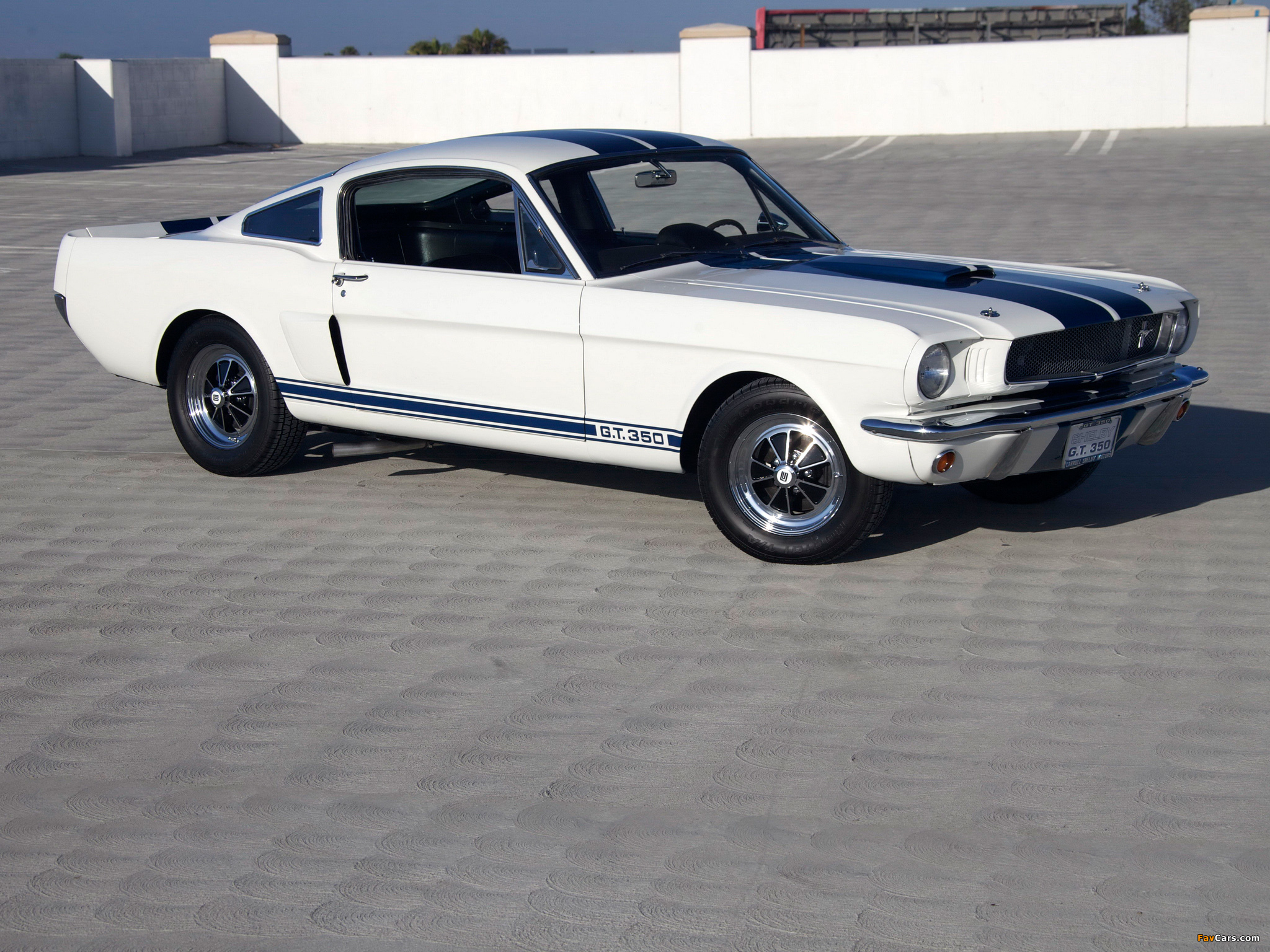 Images of Shelby GT350 Prototype 1965 (2048 x 1536)