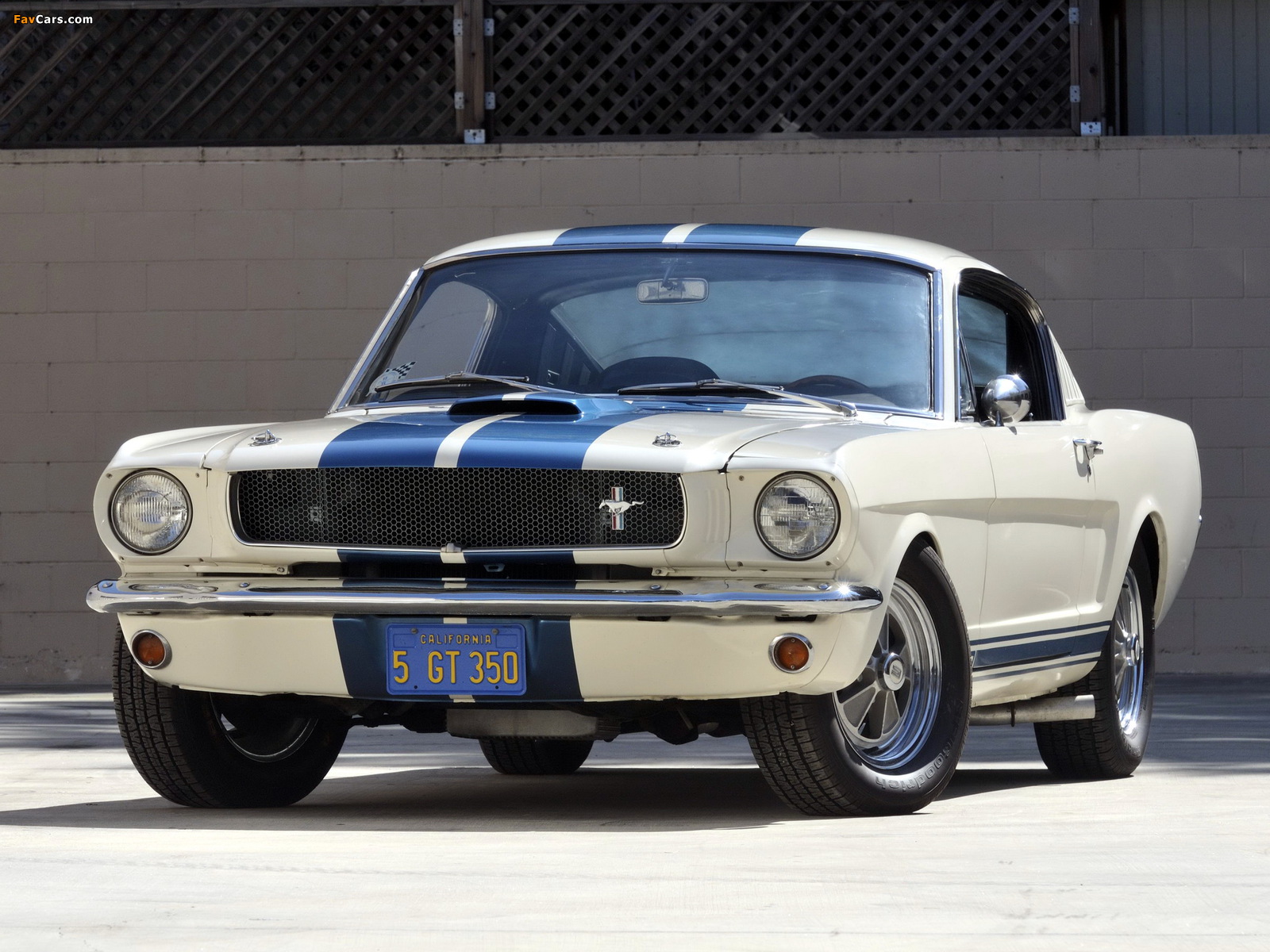 Images of Shelby GT350 1965 (1600 x 1200)