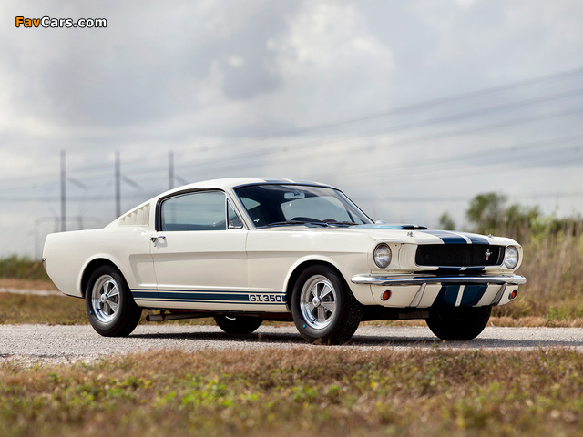 Images of Shelby GT350 1965 (640 x 480)