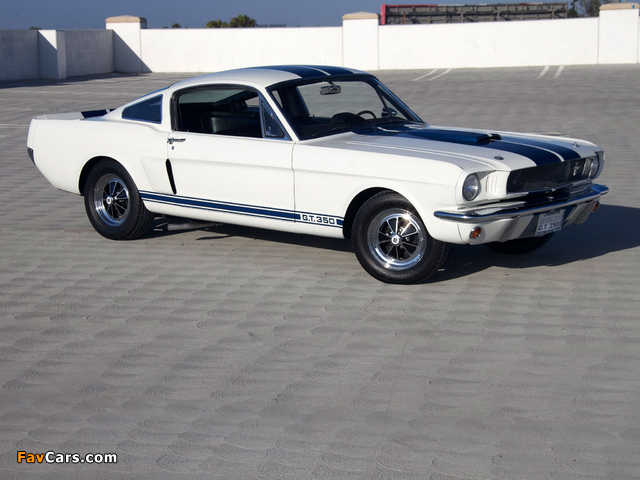 Images of Shelby GT350 Prototype 1965 (640 x 480)