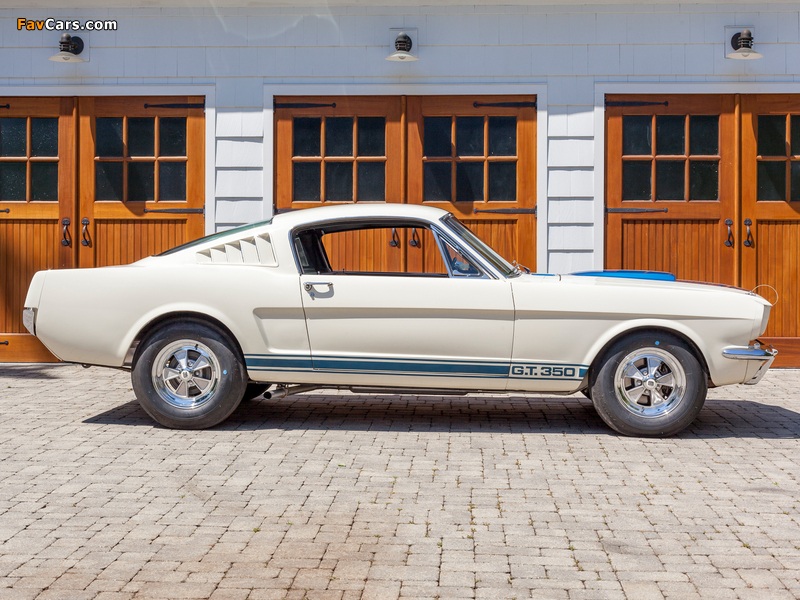 Images of Shelby GT350 1965 (800 x 600)
