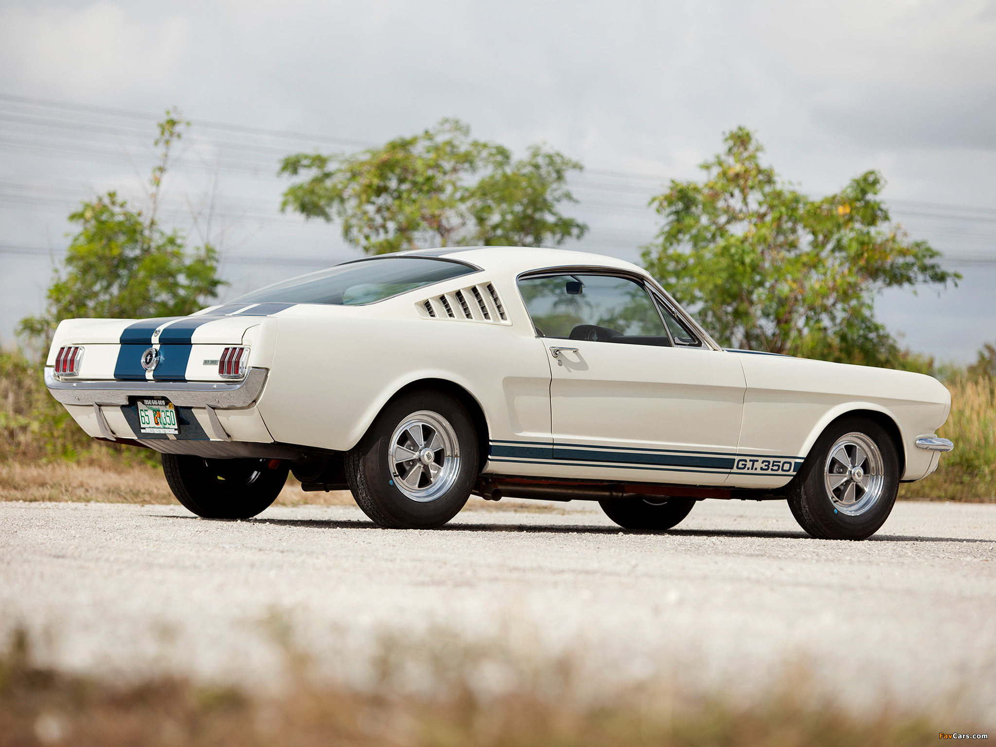 Images of Shelby GT350 1965 (2048 x 1536)