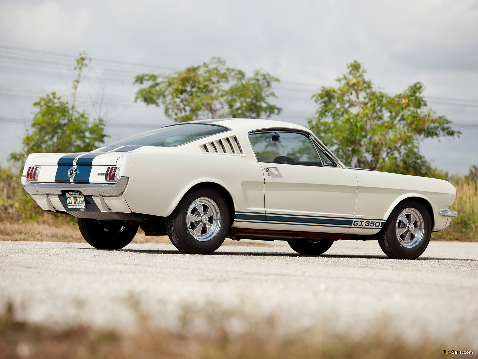 Images of Shelby GT350 1965 (1600 x 1200)
