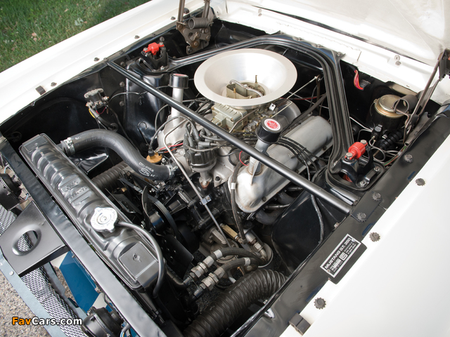 Images of Shelby GT350R 1965 (640 x 480)