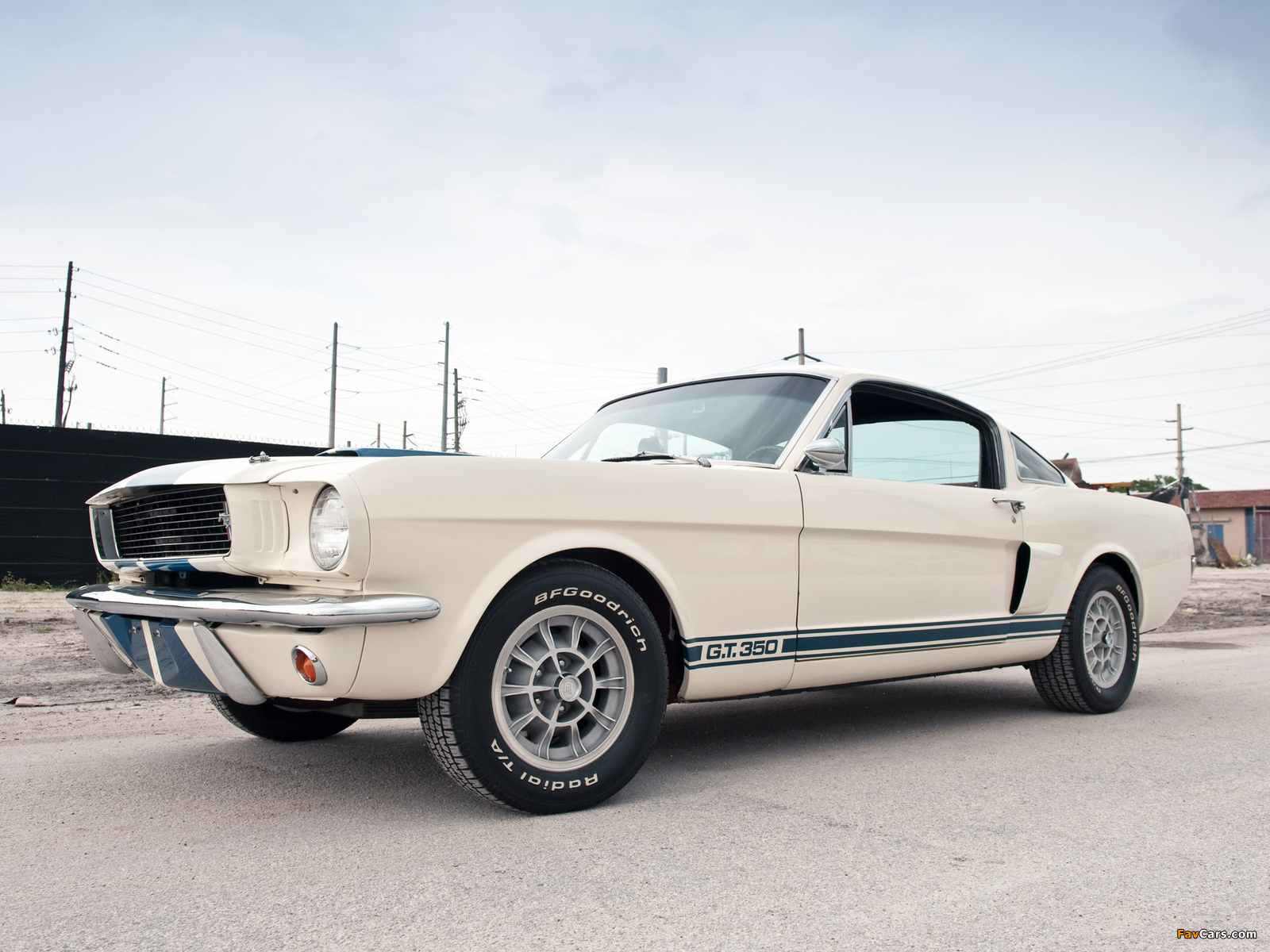 Images of Shelby GT350 1966 (1600 x 1200)