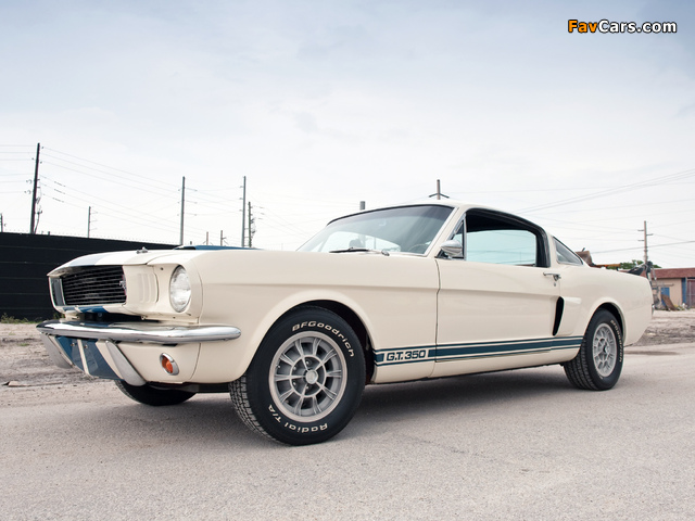 Images of Shelby GT350 1966 (640 x 480)