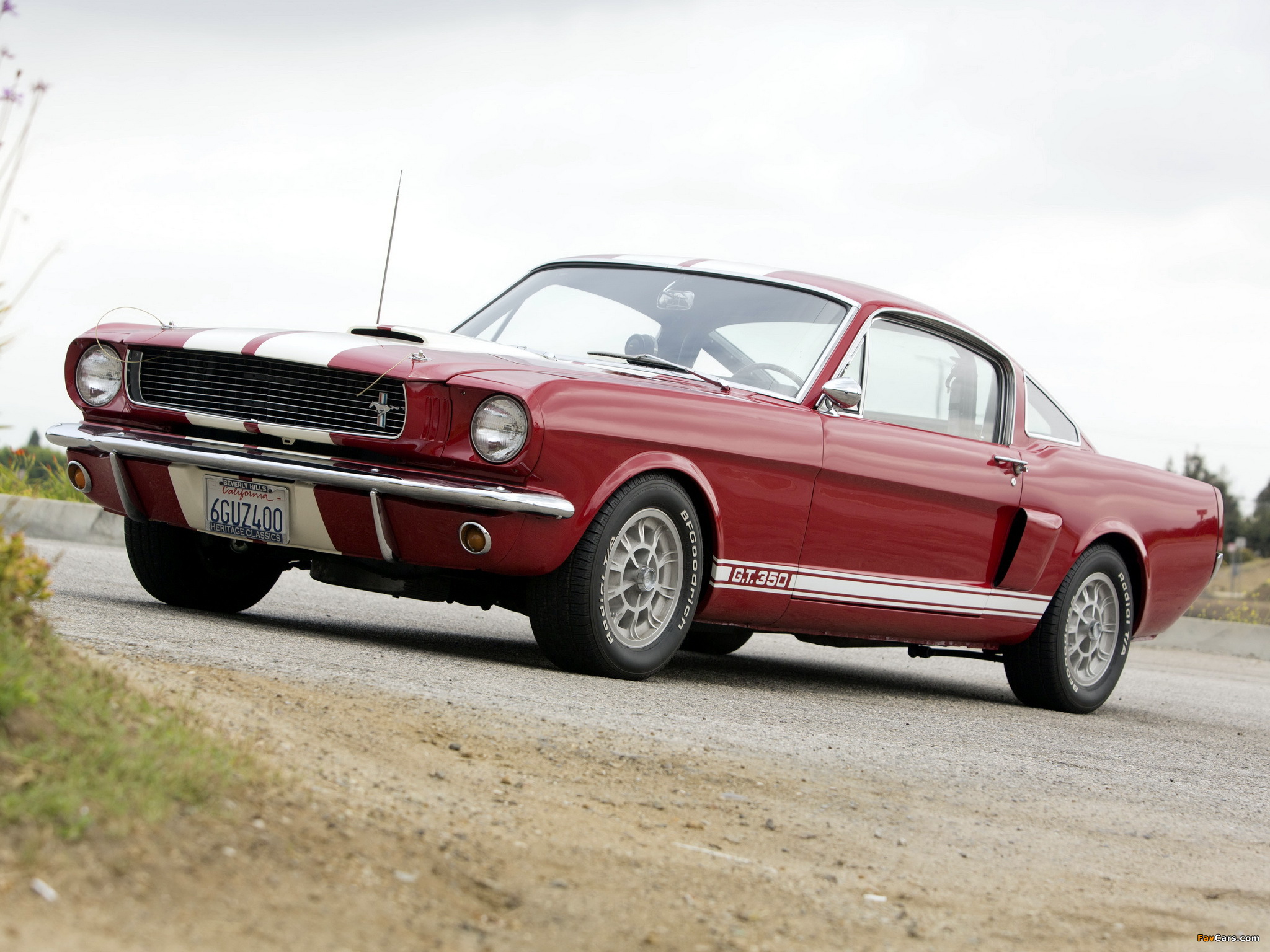 Images of Shelby GT350 1966 (2048 x 1536)