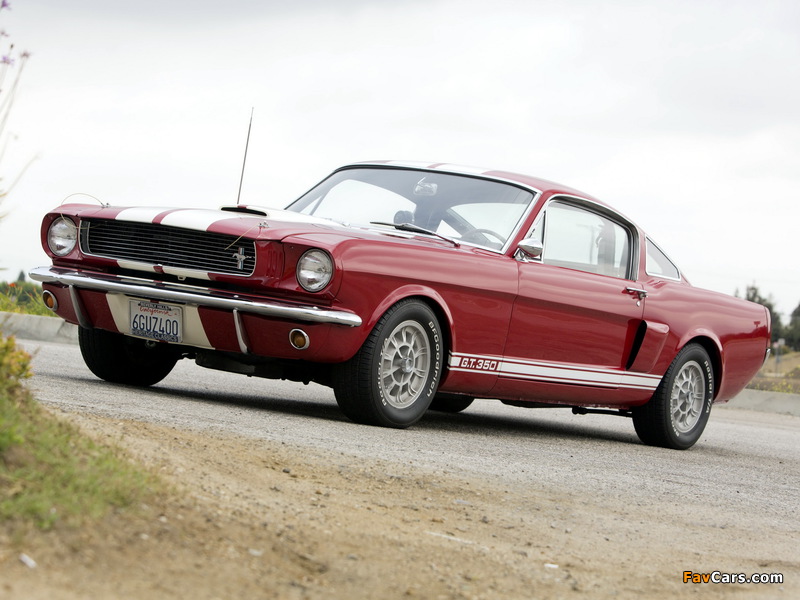 Images of Shelby GT350 1966 (800 x 600)