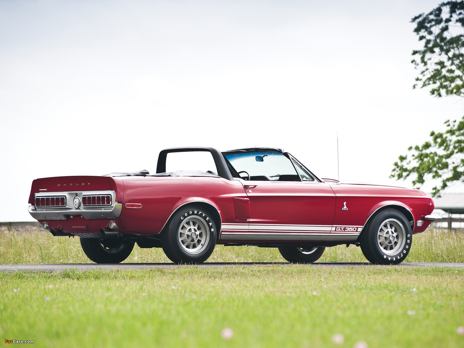 Images of Shelby GT350 Convertible 1968 (1600 x 1200)