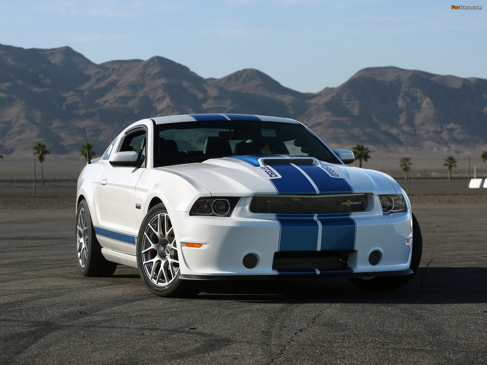 Images of Shelby GT350 2010 (1600 x 1200)