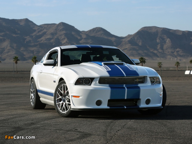 Images of Shelby GT350 2010 (640 x 480)