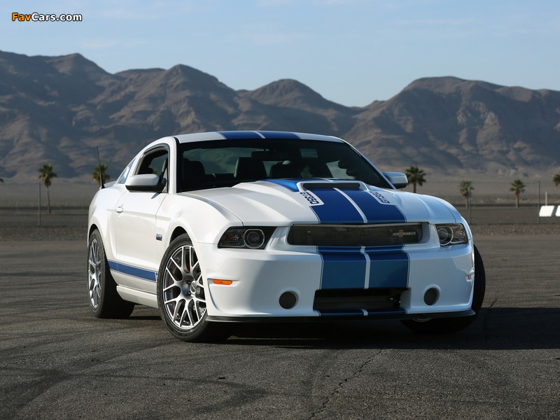 Images of Shelby GT350 2010 (800 x 600)
