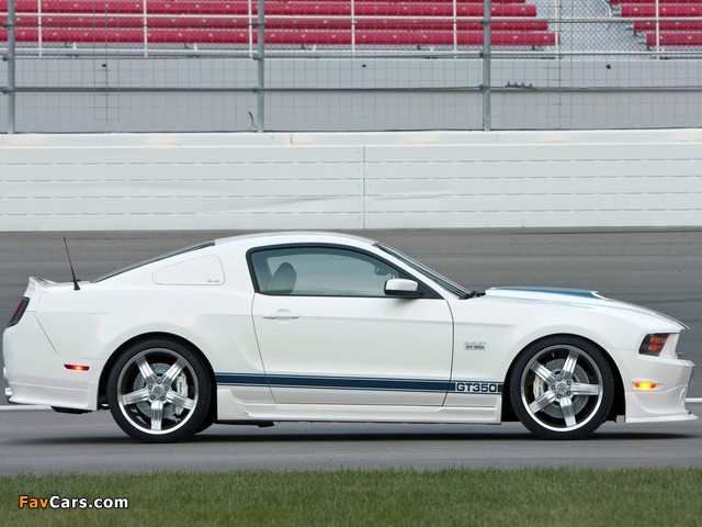 Images of Shelby GT350 2010 (640 x 480)