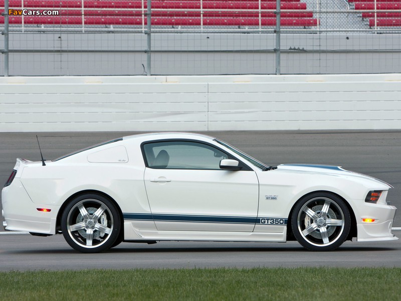 Images of Shelby GT350 2010 (800 x 600)