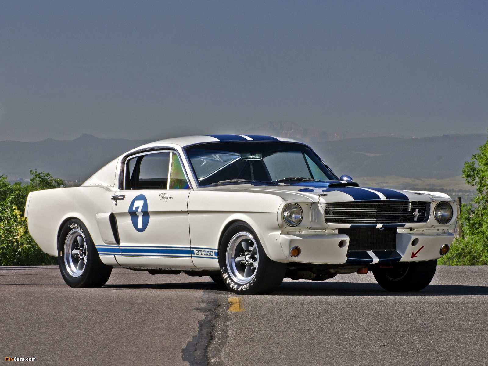 Photos of Shelby GT350R 1965 (1600 x 1200)