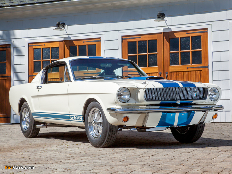 Photos of Shelby GT350 1965 (800 x 600)