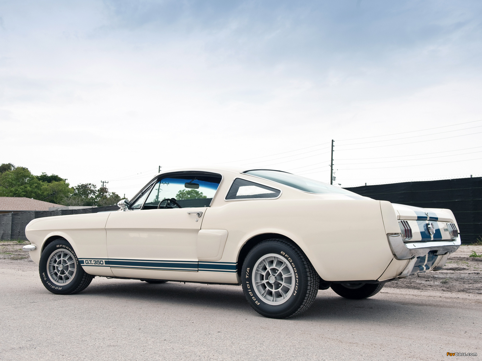 Photos of Shelby GT350 1966 (1600 x 1200)