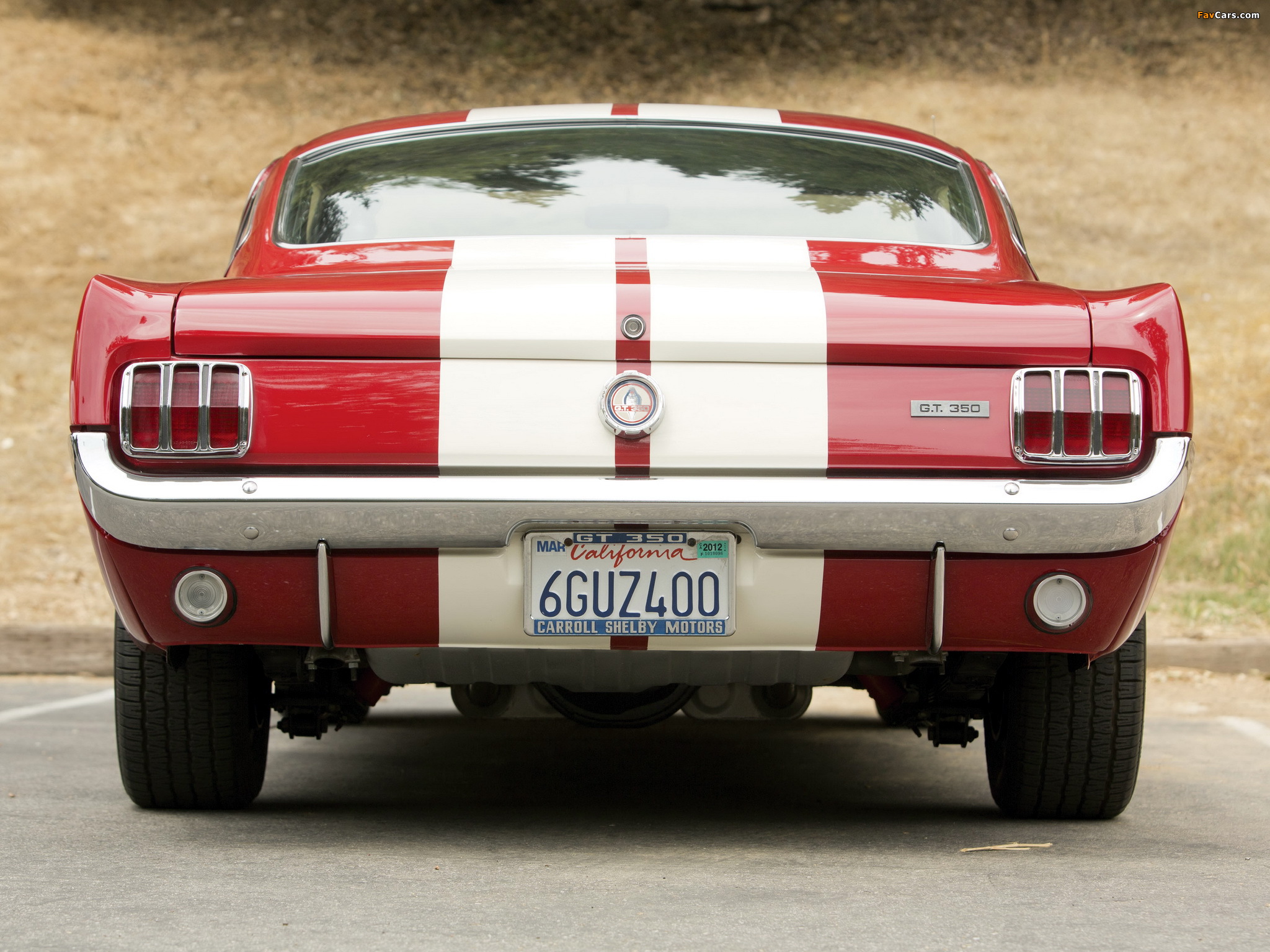 Photos of Shelby GT350 1966 (2048 x 1536)