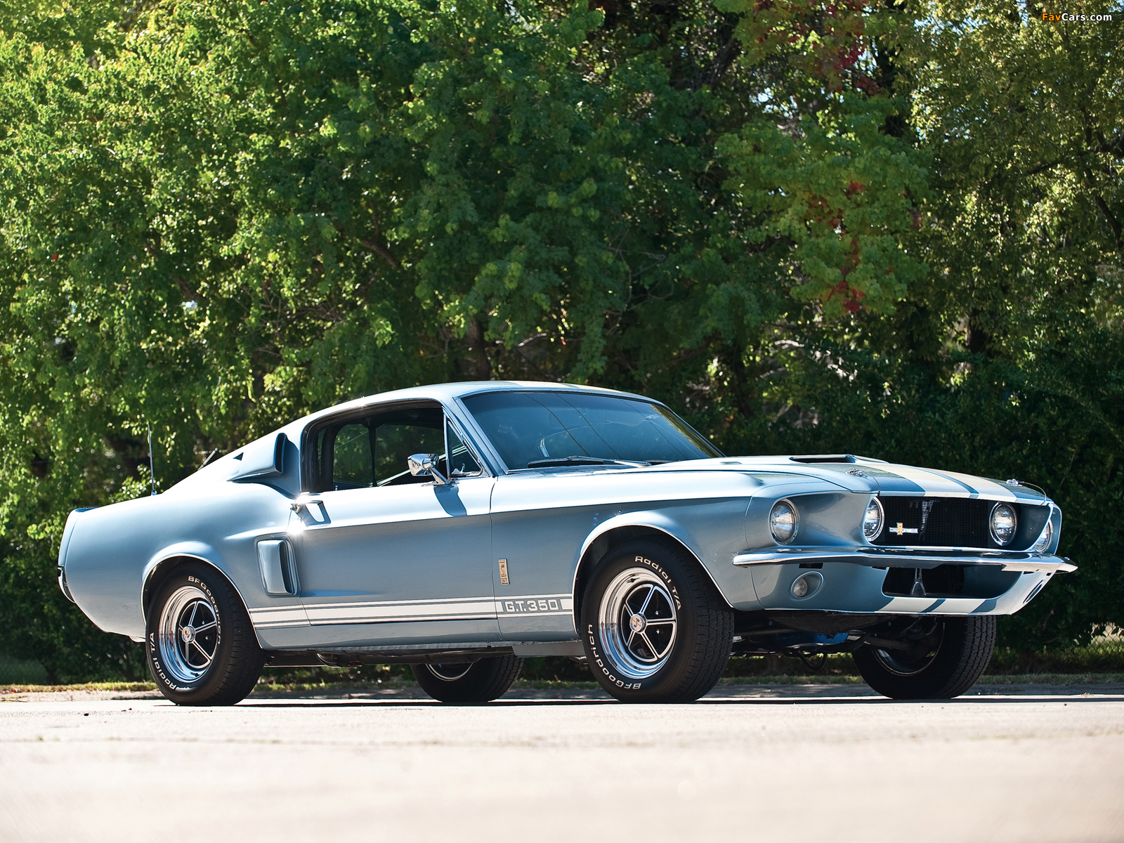 Photos of Shelby GT350 1967 (1600 x 1200)