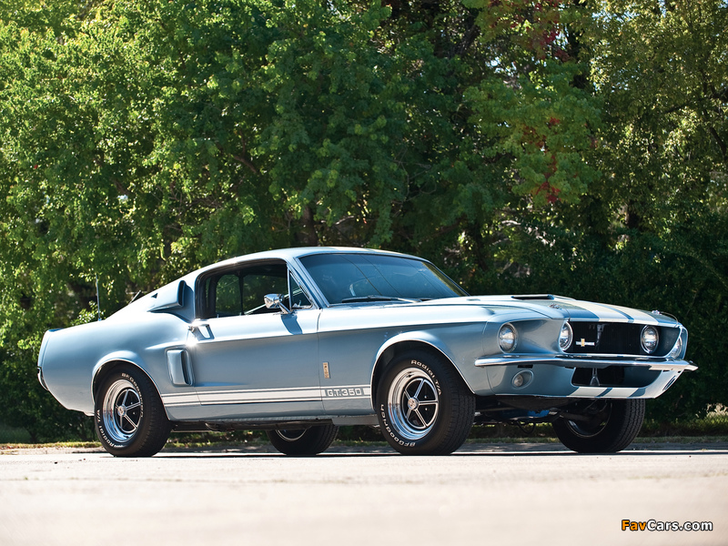 Photos of Shelby GT350 1967 (800 x 600)