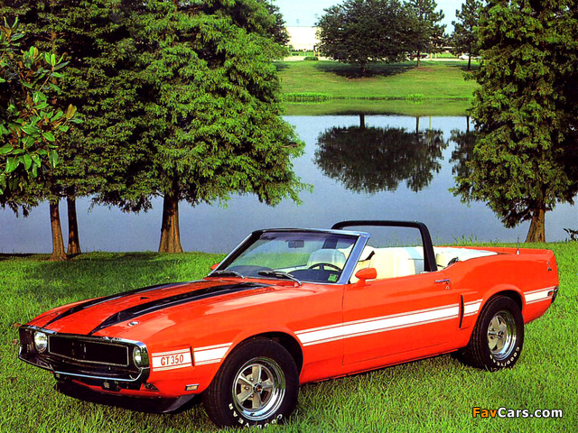 Photos of Shelby GT350 Convertible 1969 (640 x 480)