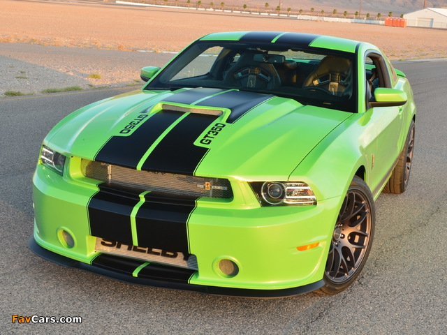Photos of Shelby GT350 2010 (640 x 480)
