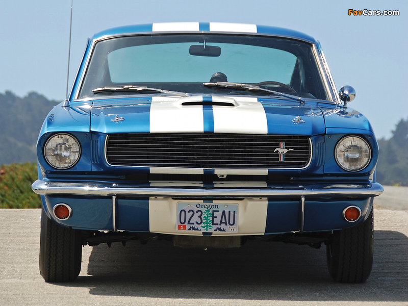 Pictures of Shelby GT350 1965 (800 x 600)