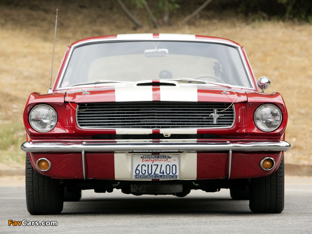 Pictures of Shelby GT350 1966 (640 x 480)