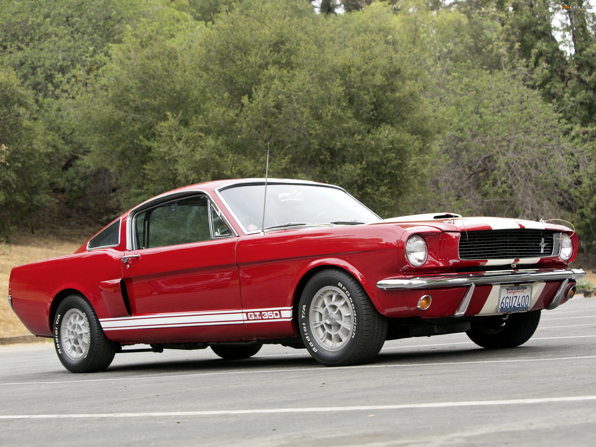 Pictures of Shelby GT350 1966 (2048 x 1536)