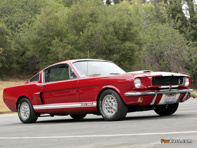 Pictures of Shelby GT350 1966 (640 x 480)