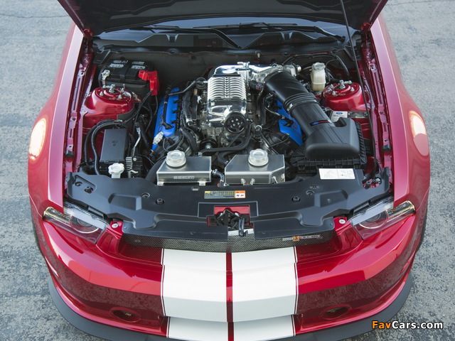 Pictures of Shelby GT350 2010 (640 x 480)