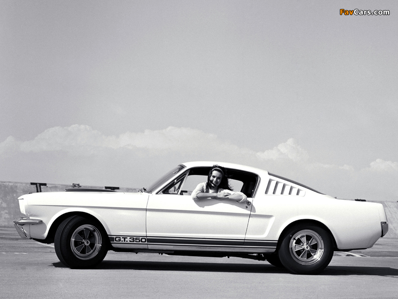 Shelby GT350 1965 images (800 x 600)