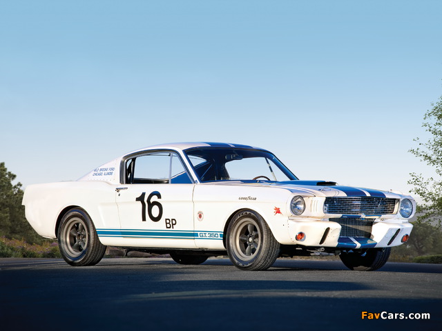 Shelby GT350R 1965 images (640 x 480)