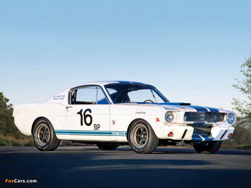 Shelby GT350R 1965 images (800 x 600)