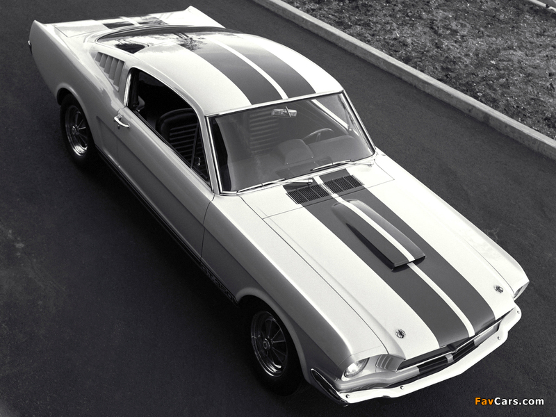 Shelby GT350 1965 photos (800 x 600)