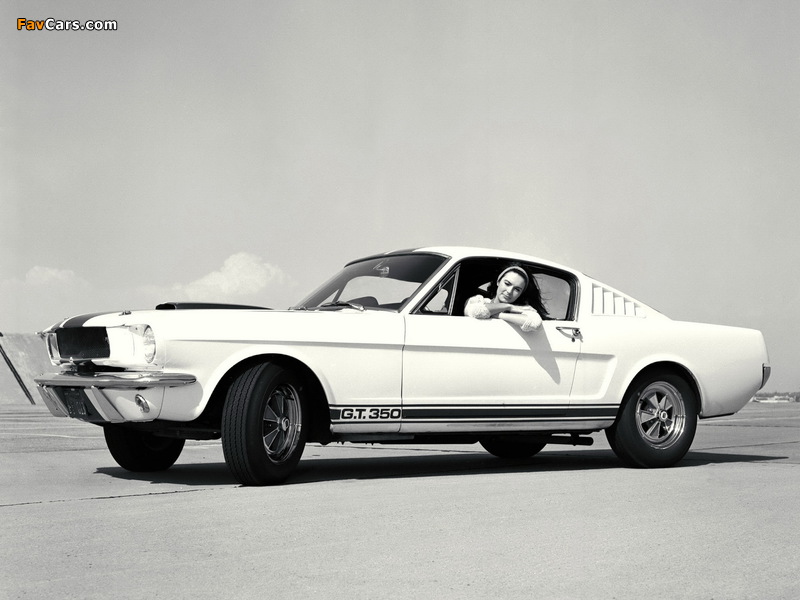 Shelby GT350 1965 pictures (800 x 600)