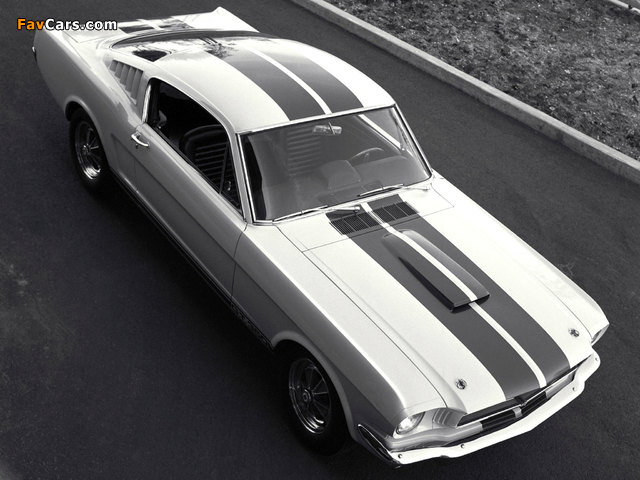 Shelby GT350 1965 pictures (640 x 480)