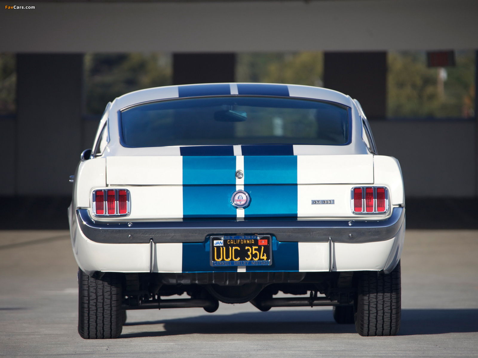 Shelby GT350 Prototype 1965 pictures (1600 x 1200)