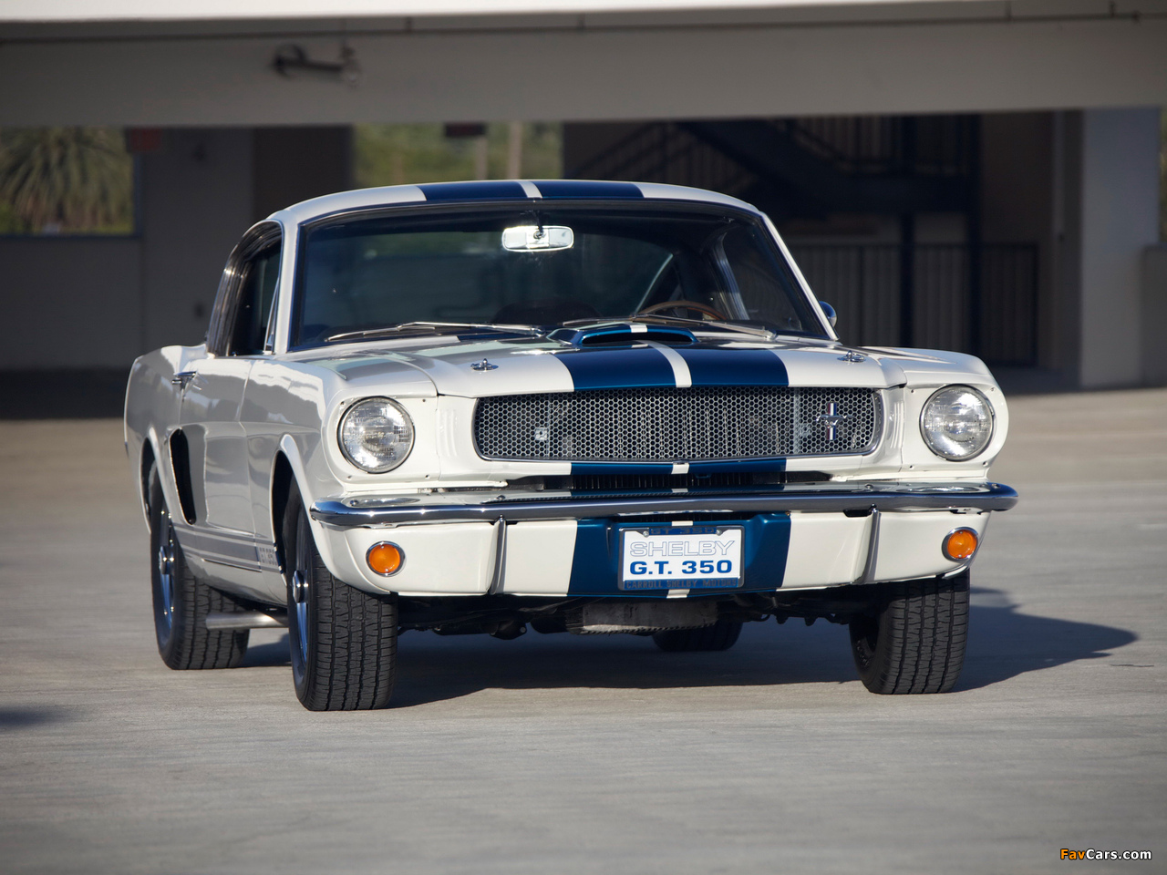 Shelby GT350 Prototype 1965 wallpapers (1280 x 960)