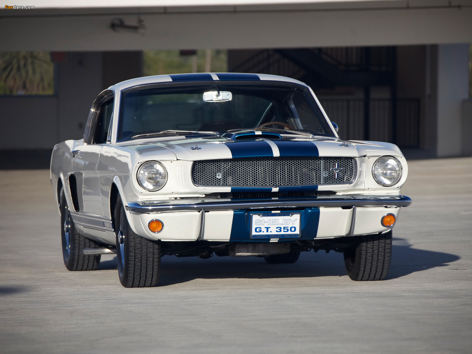 Shelby GT350 Prototype 1965 wallpapers (1600 x 1200)
