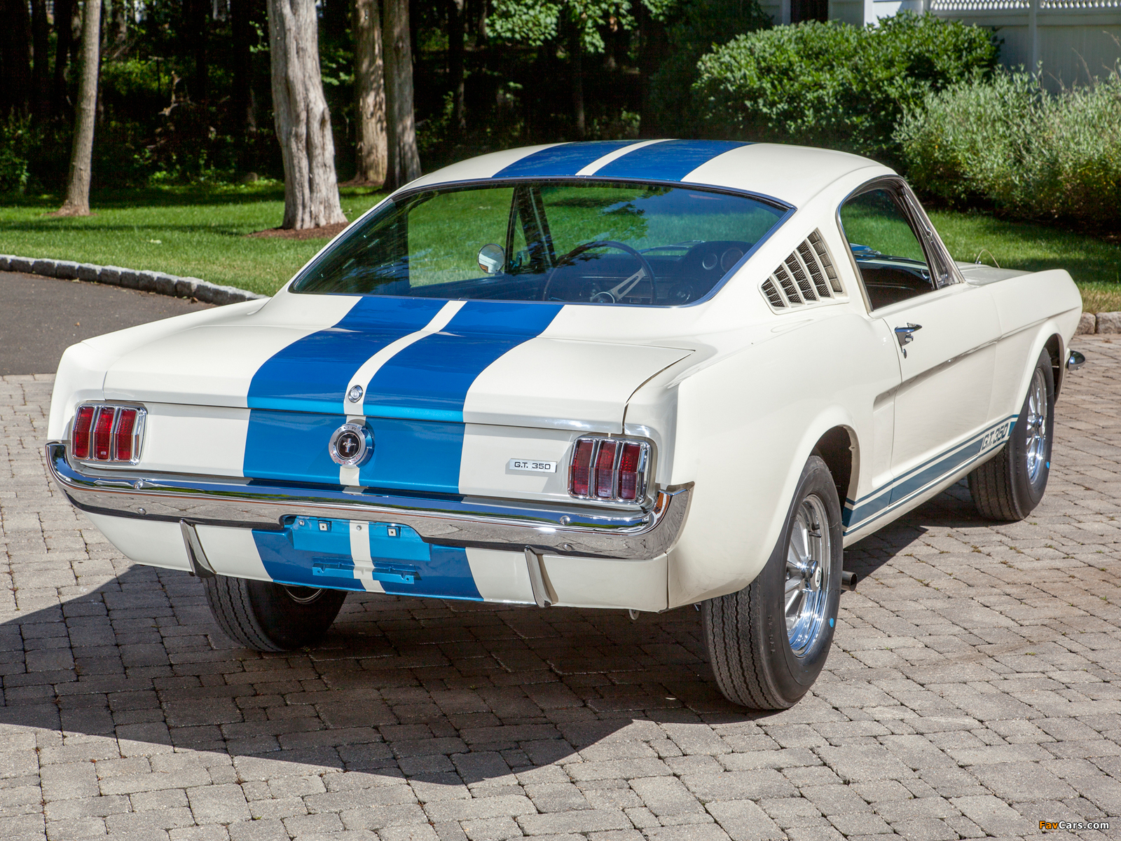 Shelby GT350 1965 wallpapers (1600 x 1200)