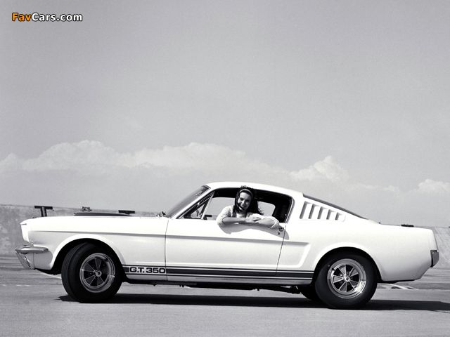 Shelby GT350 1965 wallpapers (640 x 480)