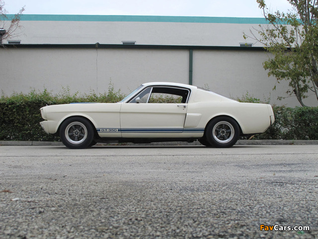 Shelby GT350R 1966 images (640 x 480)