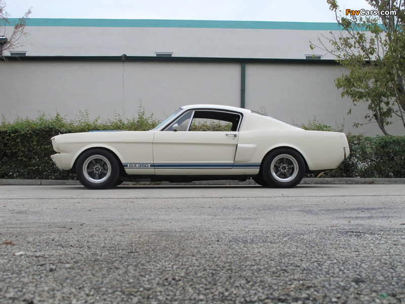 Shelby GT350R 1966 images (800 x 600)