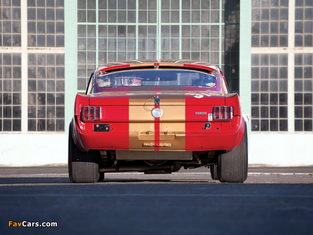 Shelby GT350H SCCA B-Production Race Car 1966 images (640 x 480)